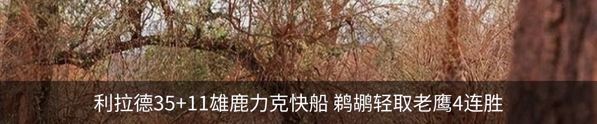 资讯动态